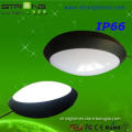 2013 New Products Outdoor Flush Mounted Ceiling Light Fixtures